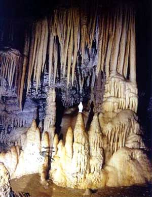 As I knew later this cave was called the Cathedral and still exists. 
The Longrives caves, Languedoc