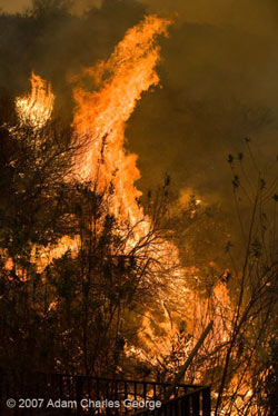 Conflagration in California