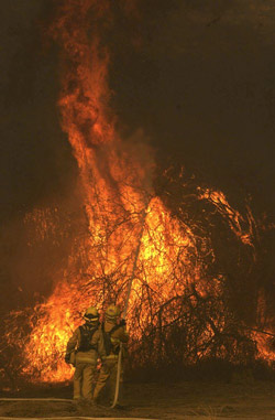 Conflagration in California