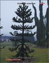 Araucaria araucana