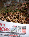 Maitake Grifola frondosa in January