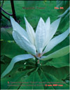 Magnolia «Lotus»