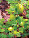 Gooseberries in May