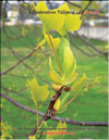 Tulip tree 
– Liriodendron Tulipifera