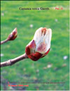 Chestnut – Castanea verca Gaerth.