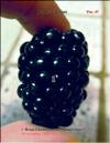 Blackberry (Rubus caesius)